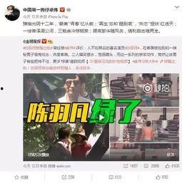 小龙被爆料出轨视频,真相与争议  第3张