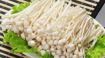 金针菇今日爆料最新,揭秘娱乐圈惊人内幕！  第3张